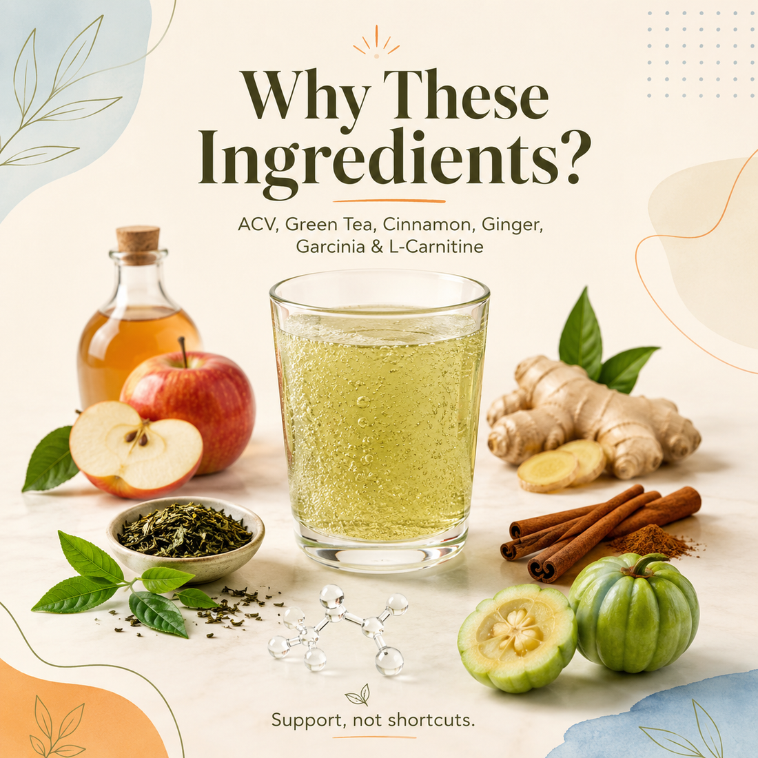 ACV, Green Tea, Cinnamon: Why These Ingredients Show Up In Weight Management Products